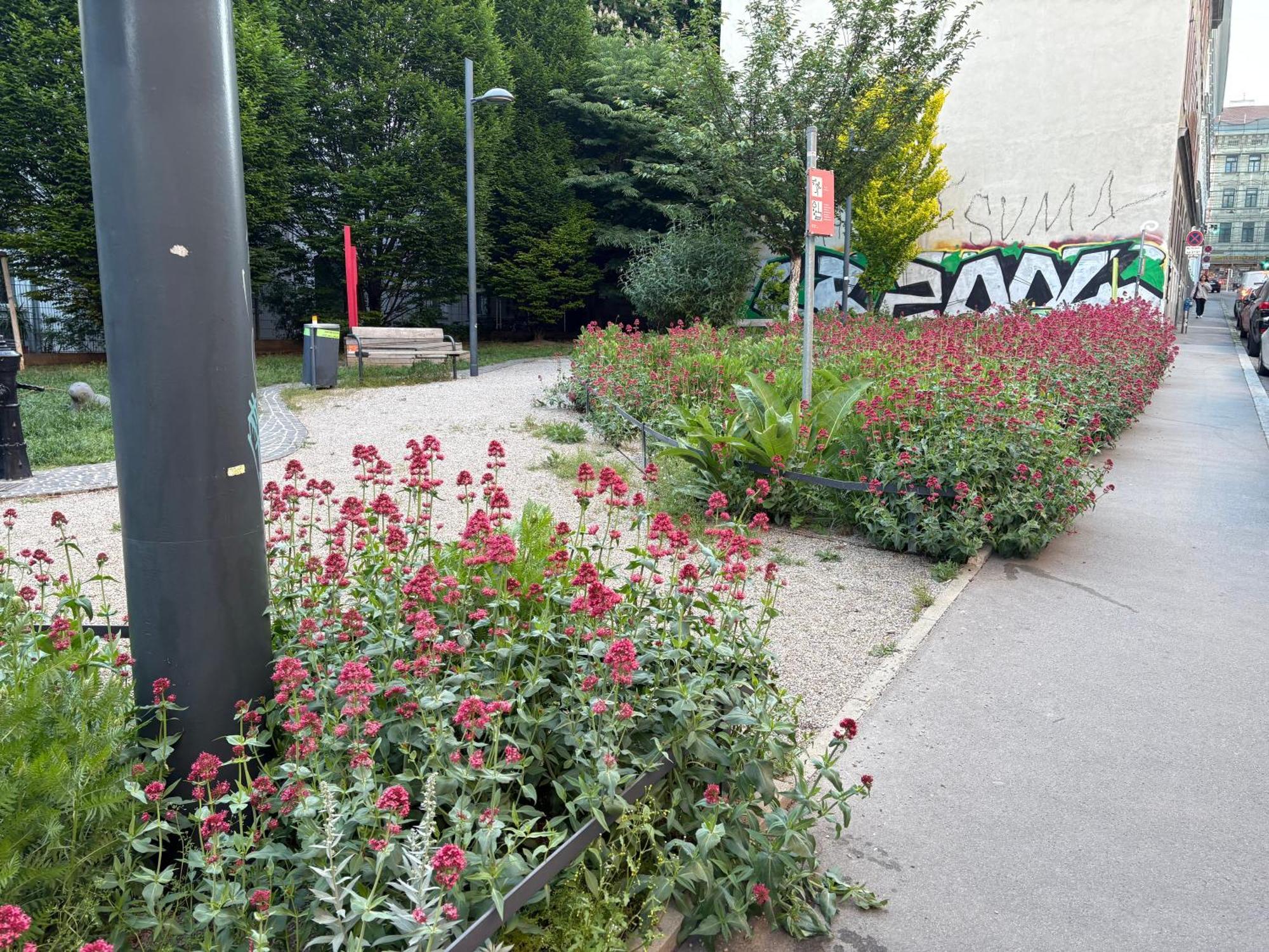 Apartment Geibel T4 - 85M2 - Highspeed Internet - Hundefreundlich Wina Bagian luar foto